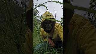 Mate Los Piracanthas🥷 #canserbero #Hip hop, #Los Gremlins #la nueva escuela #Art #jardin
