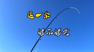 新手钓鱼都有光环吗，这一条拉力大，鱼竿超过90度够不够弯