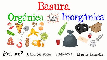 🍎Basura Orgánica e Inorgánica📎 [Fácil y Rápido] | BIOLOGÍA |