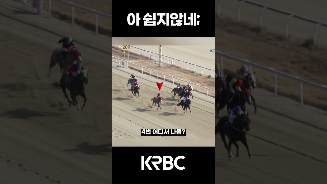 아 900승 쉽지않네 #shorts #경마방송 #기수 #경주마 #경마 #KoreaHorseRacing #koreahorseracing