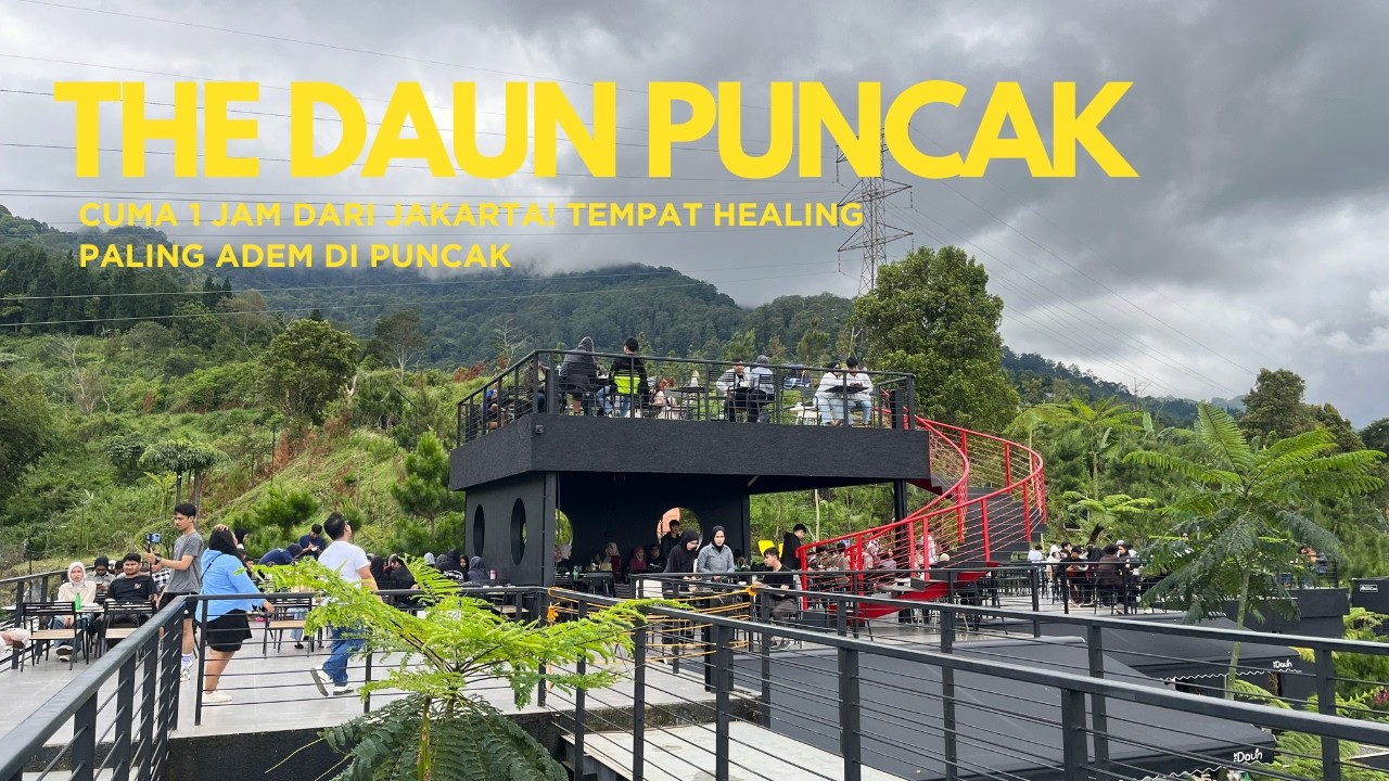 Vibes nya Juara❗ walk around the Daun Coffee Puncak