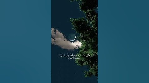 إلا تنصروه فقد نصره الله إذ أخرجه الذين كفروا ثاني اثنين إذ هما في الغار للقارئ الشيخ/ماهر المعيقلي