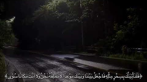ولقد أريناه آياتنا كلها فكذب وأبى -محمد ايوب