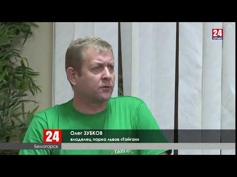 Олег Зубков о канале Миллет