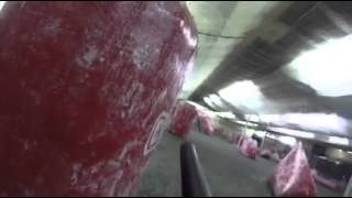 Paintball Gameplay-Barrelcam Gopro