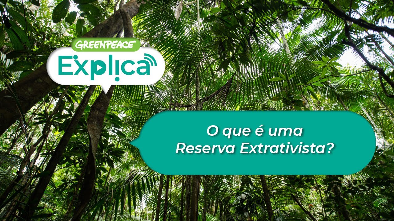 O Que São Reservas Extrativistas - BRAINCP