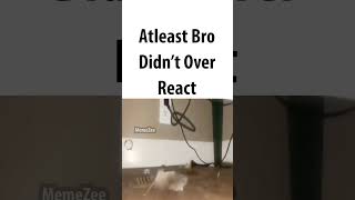 Glad He Didnt Overreact