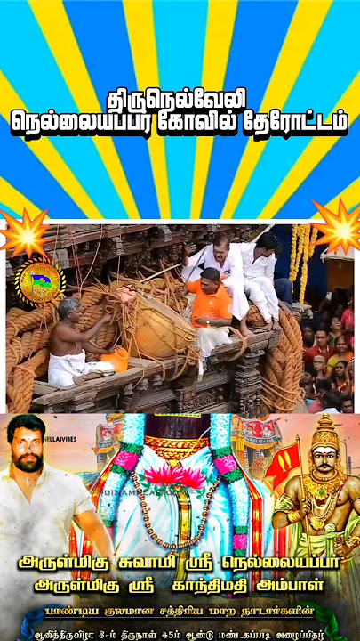 நெல்லையப்பர் கோவில் | நாடார் திருவிழா | பாண்டியர் வம்ச மாற நாடார்கள் #thirunelveli #nellaiyappar