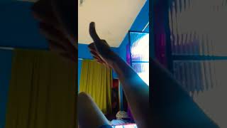 Vinheta Record 2012 2013 2014 2015 2016