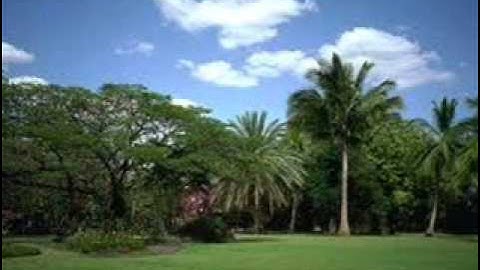 سورة الفاتحة للقارئ محمد ضيف الله الجعيد