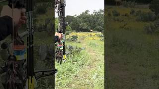 60yd whitetail target smoked at Total Archery Challenge!!