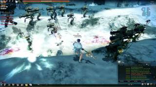 Vindictus Bug Using