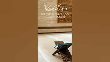 قرآن كريم #quran #قرآن #رمضان