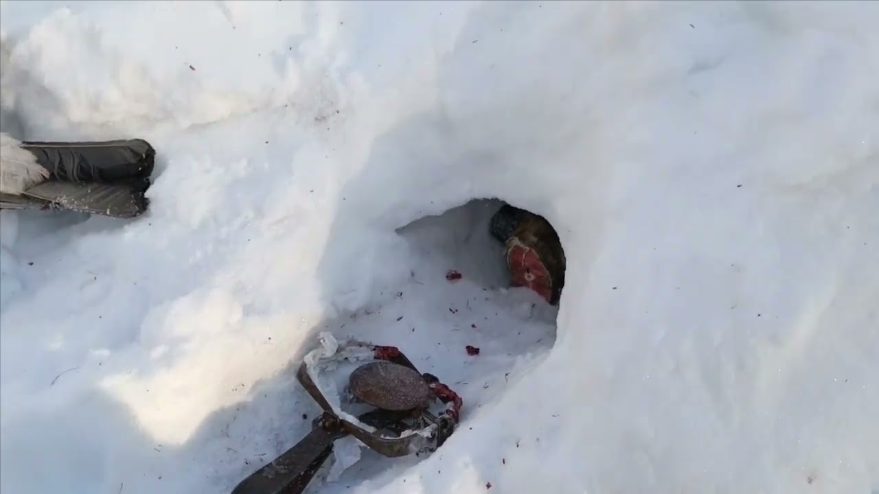 Проверка капканов часть 〽️ 15.