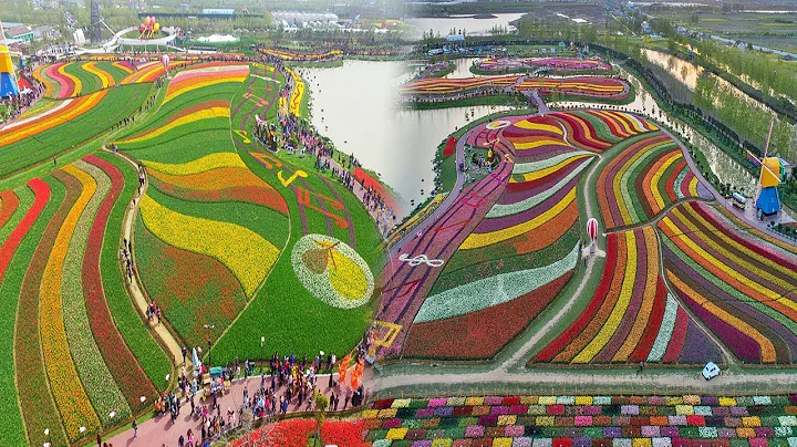 China's Most Beautiful Massive Flower Natures You Can't Imagine - DayDayNews