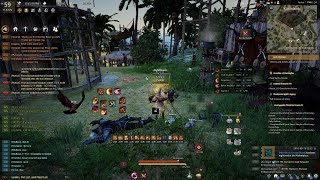 Bdo Pirates Farming