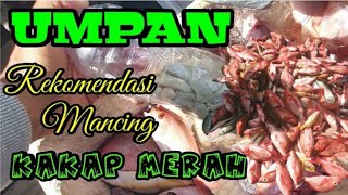 Rekomendasi !! Tiga UMPAN TERBAIK MANCING KAKAP MERAH || MANCING MANIA || LAUT PAGATAN