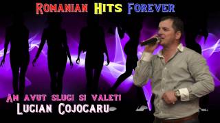 Lucian Cojocaru - Colaj Hituri Tari (Mega Petrecere)