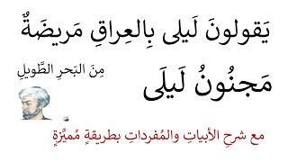 شرح يقولون ليلى بالعراق مريضة قيس بن الملوح بطريقة مميزة واضحة