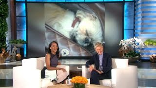 Kerry Washington On Her Adorable Dog