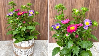 Simple ways to make your home beautiful, make your own plant pots