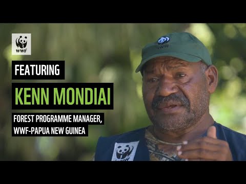 WWF Senior Specialist Tori Page:  A Voice For Forests