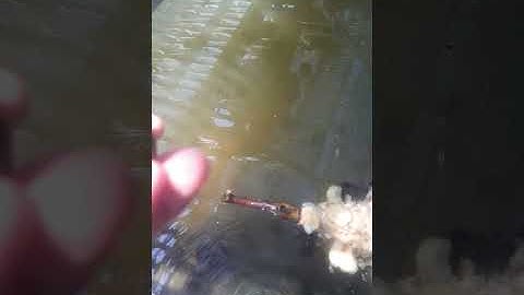 #ốc nhồi # miền bắc 0763015213