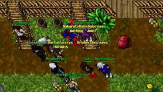 Honera- Antibotter Merlkin Dead