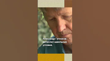 Как приготовить настойку из женьшеня? Сюжет программы #ЖизньСвоих #Первыйканал