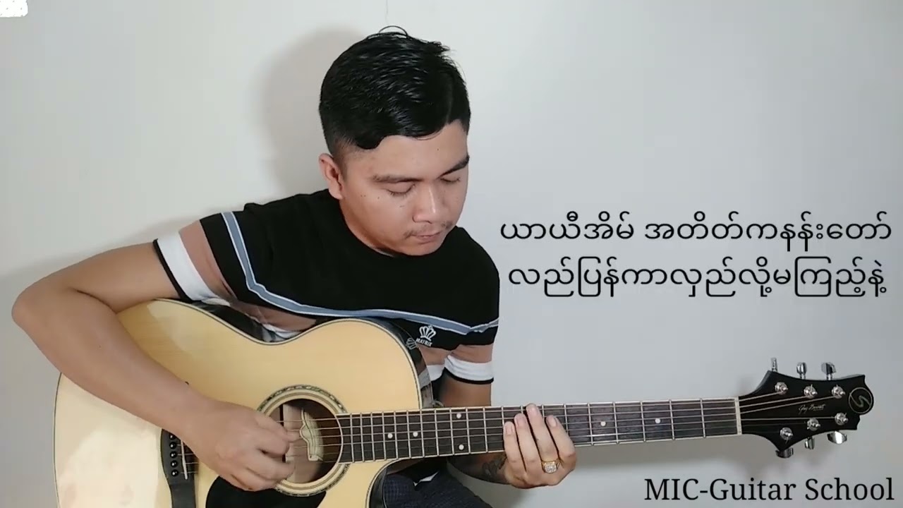 သင်းကွဲငှက်များနားခိုရာ