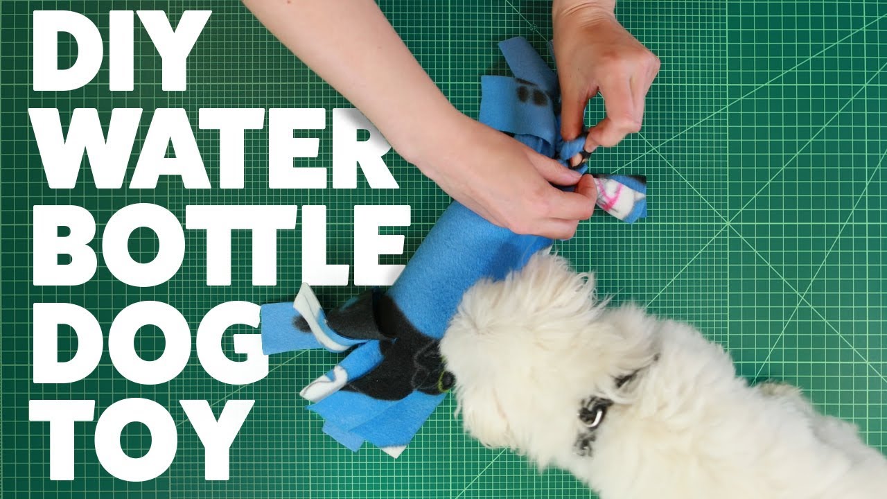 DIY Dog Toys Made From Everyday Objects 