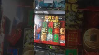 Slot bar #Slots #pacanele #slotmaxwin197  #aparate #slotmachine #bigwin #slot #bonus #onlinecasino screenshot 5