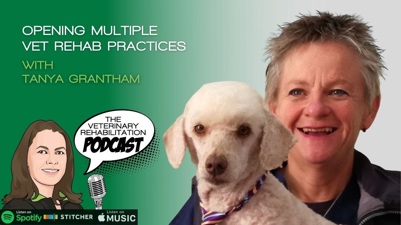 Opening Multiple Vet Rehab Practices, with Tanya Grantham