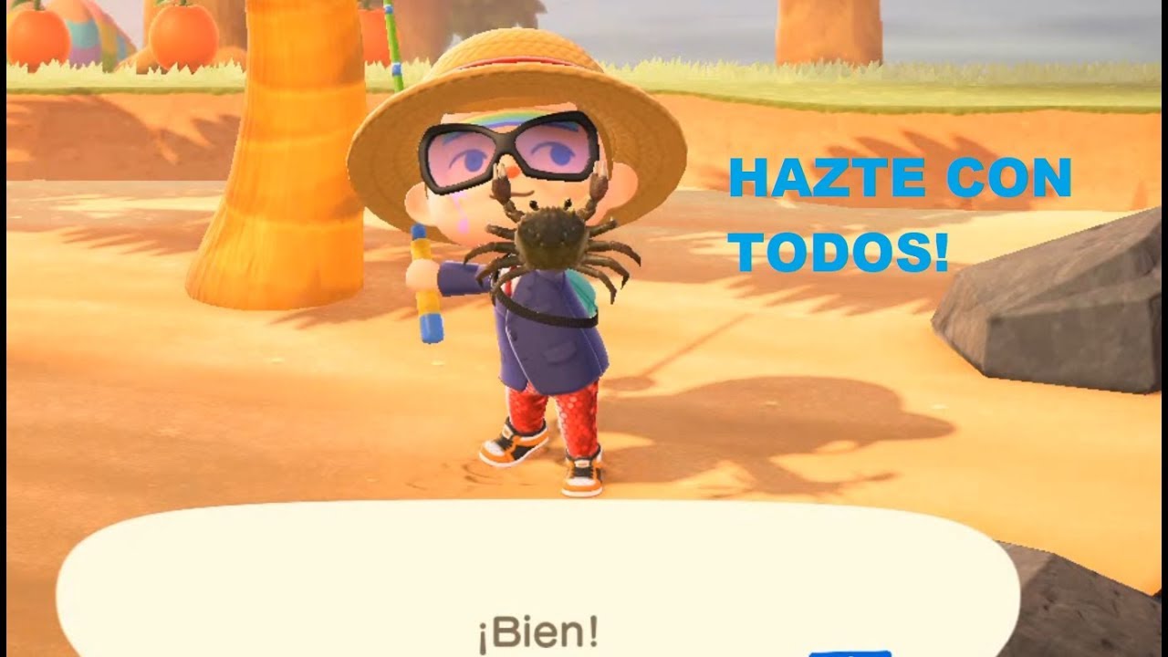 Caa Animal Crossing Enciclopedia Fandom Caa Animal Crossing Enciclopedia Fandom