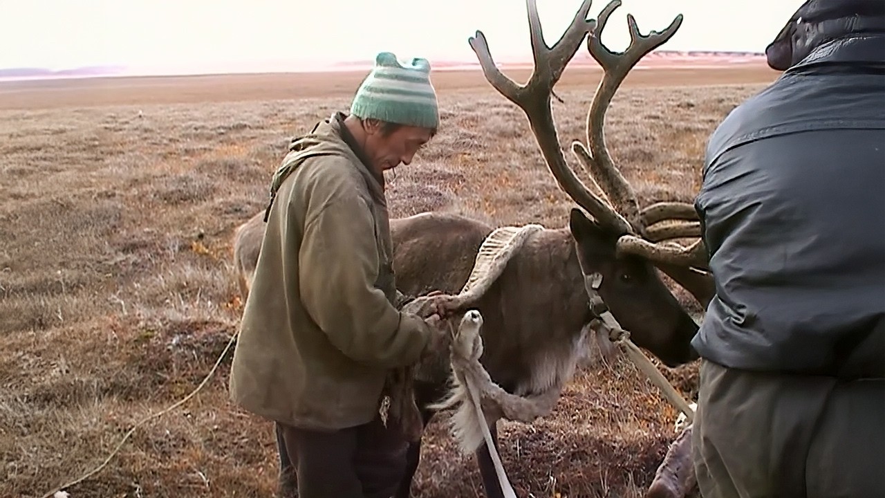 Planète Blanche : la vie au bout du Monde