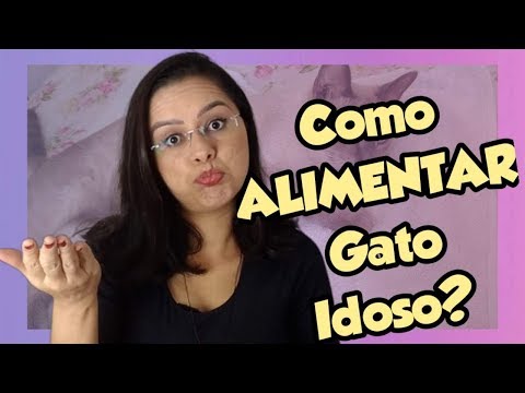 Vídeo: Como Alimentar Gatos Mais Velhos