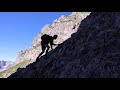 Großer Widderstein im Kleinwalsertal