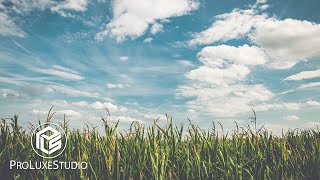 Download Lagu Folk | Indie | Acoustic Background Music For Video by ProLuxeStudio MP3