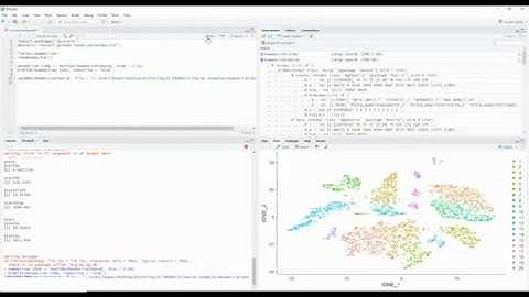 Interactively visualize Seurat and Scanpy objects with BioTuring Single-cell Browser