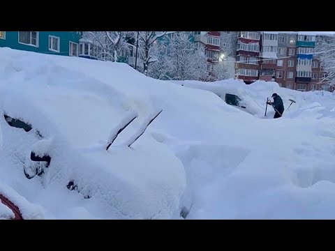 ����� ����� �� ��� ������� ����� ����� �� ��������� �������
