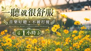 【1小時讀書音樂】讓雜念慢慢消失，專心做好眼前的事情｜柔和鋼琴・學習・閱讀・寫作 screenshot 2