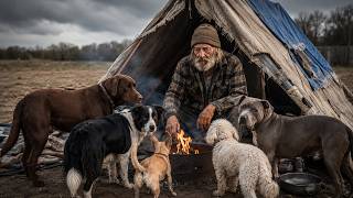 Homeless Man Had Only His 5 Dogs—Then Everything Changed