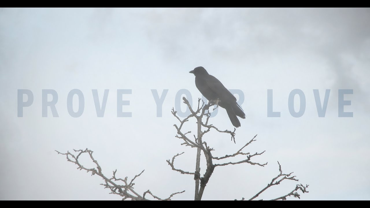 PROVE YOUR LOVE (2024) Official Trailer