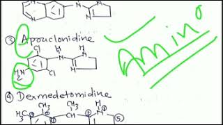 Adrenergic Alpha-2 Receptors - lesson 7