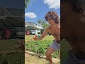 hit a lick in the garden 🍅🌱🌿#kendama #kendamatricks #kendamalifestyle #kendamalife