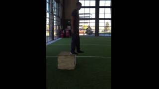 Depth Jump w/ Hold