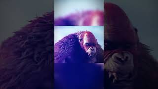 Why Godzilla Not Kill Scar King Godzillaxkong