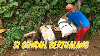 [FULL] PETUALANGAN SERU ALA SI GUNDUL | JEJAK SI GUNDUL (27/09/23)