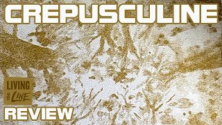 Connor Stechschulte - CREPUSCULINE - Review