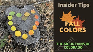 Fall Colors 2020 - Leaf Peeping Tips and Trail Recommendations  in Colorado's High Country